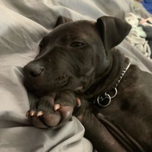 Meet your Posher, Aimee